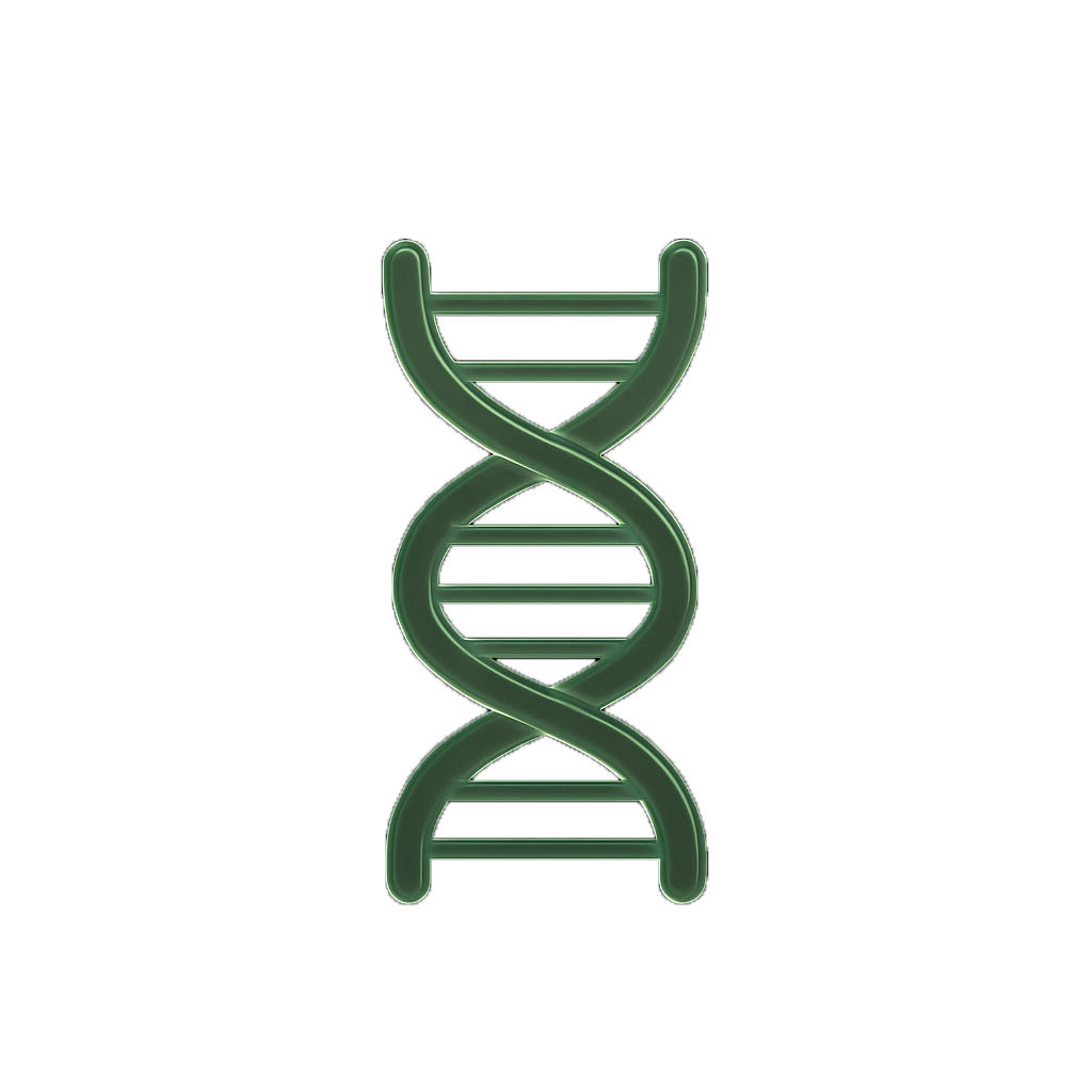 DNA