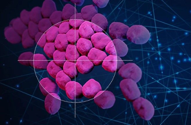 Developing new antibiotics with AI