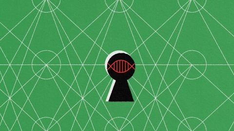 Generative AI language models are unlocking the secrets of DNA