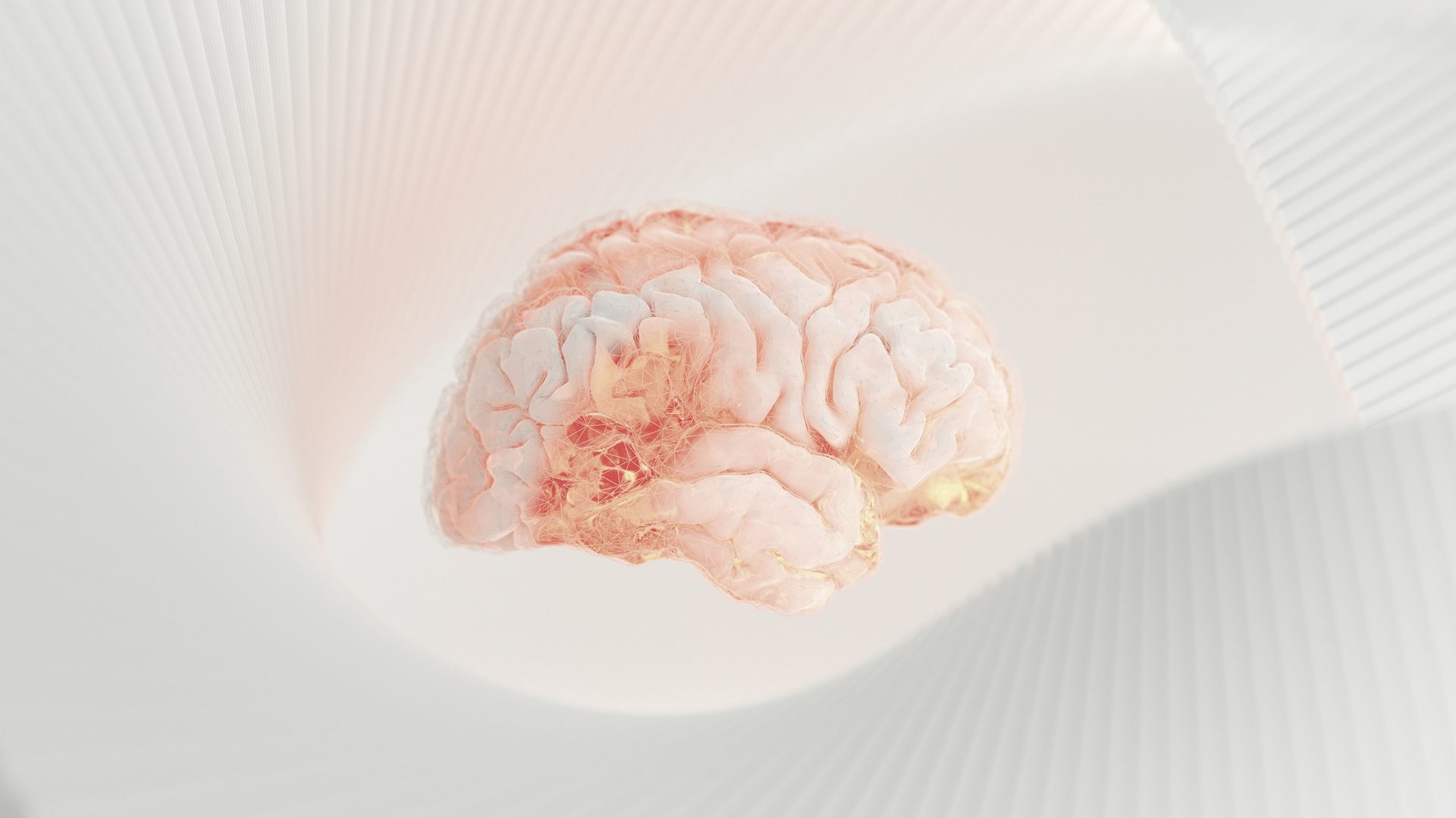 Brain scan reviewed by a medical imaging model