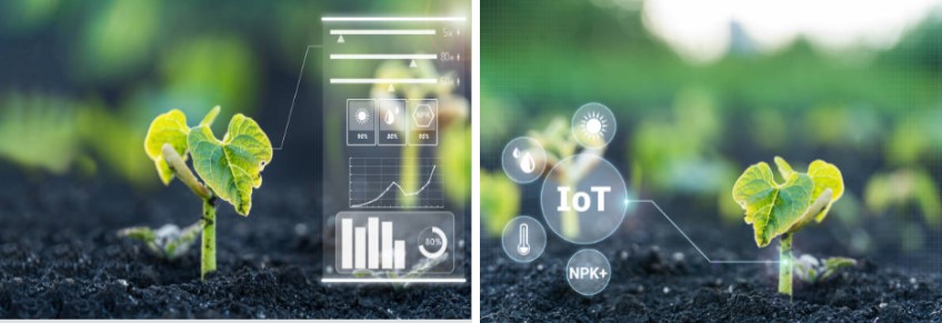 Illustration of crop monitoring using AI showing required moisture, sunlight and nutrients