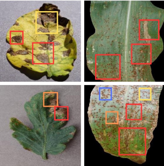 An image showing spots of different diseases on leaves using a custom object detection model