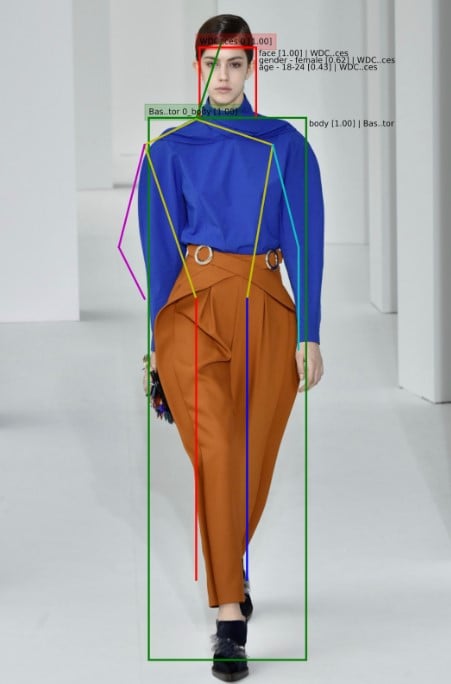 IBM Watson visual recognition tool analyses colours, shapes | Source: WWD.com