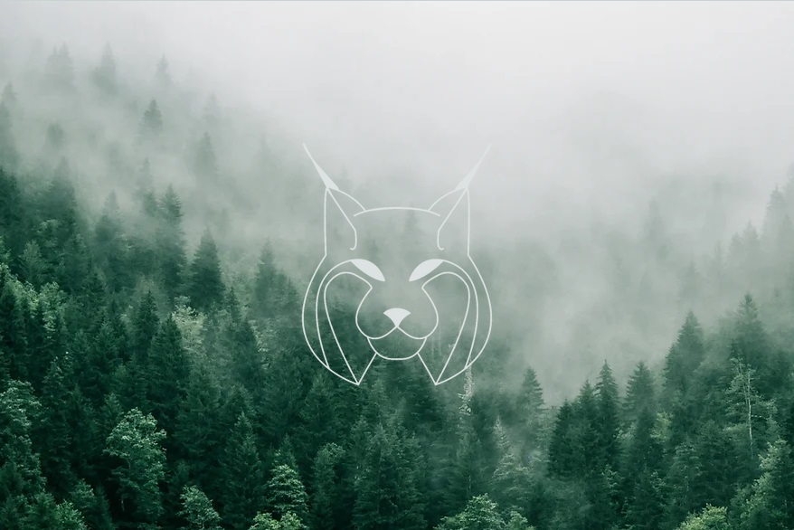 TechnoLynx logo on a forest background